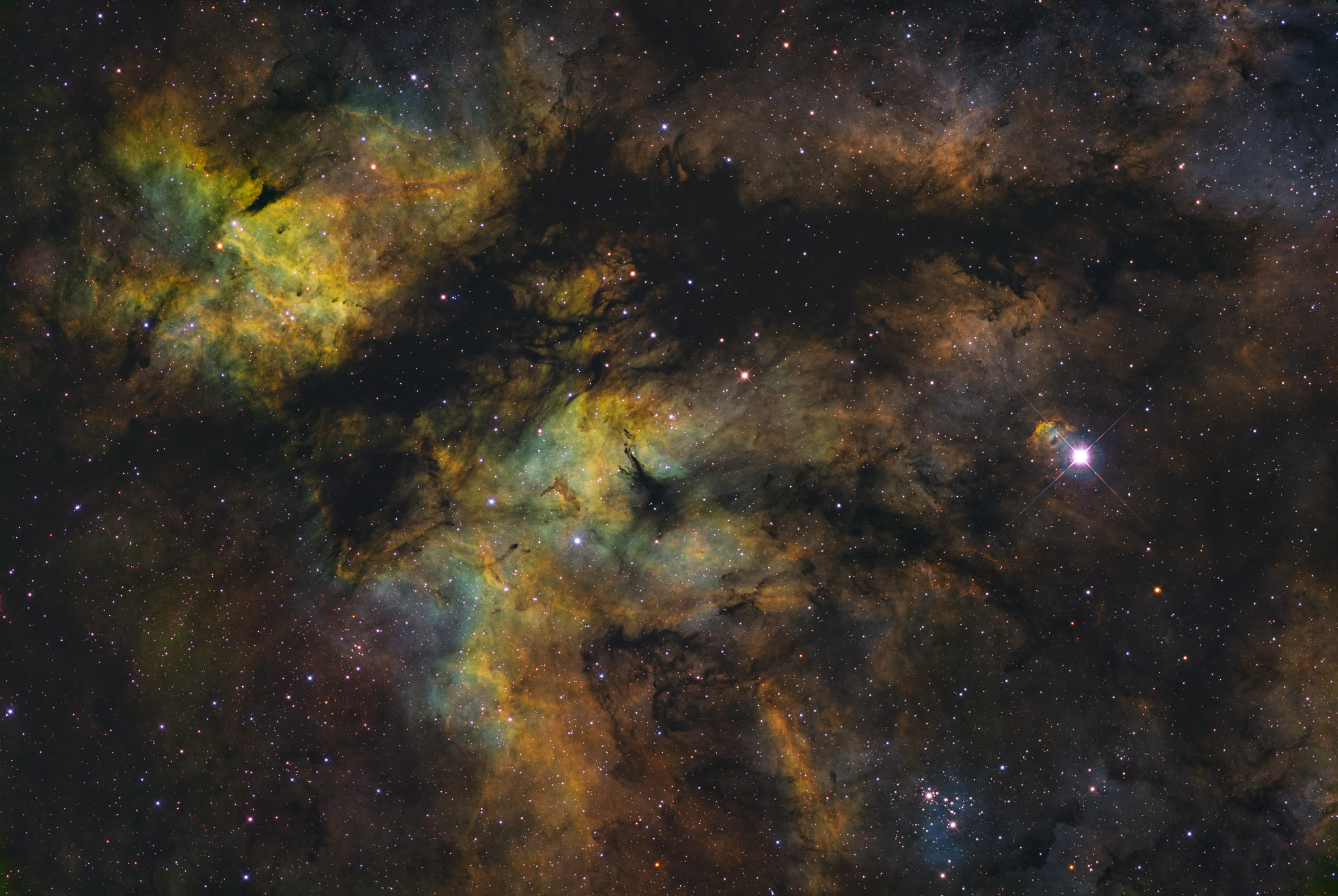 IC1318 Gamma Cygni Nebula Hellas Sky